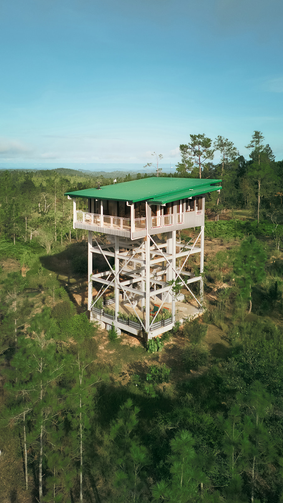 aerial of fire tower in belize wilderness