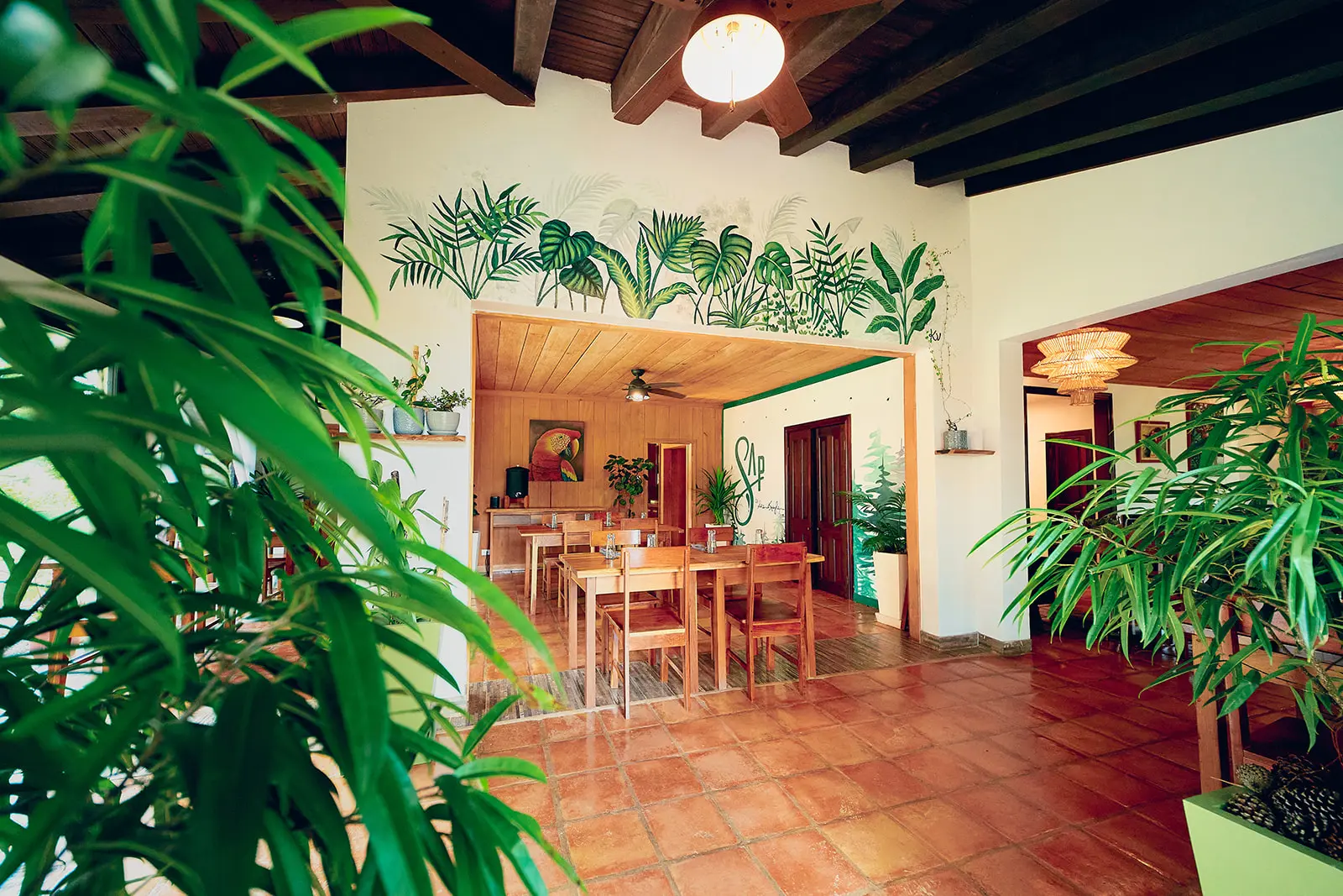 forest themed belize restaurant